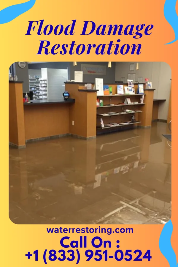 Flood Damage Restoration in Henriette, MN