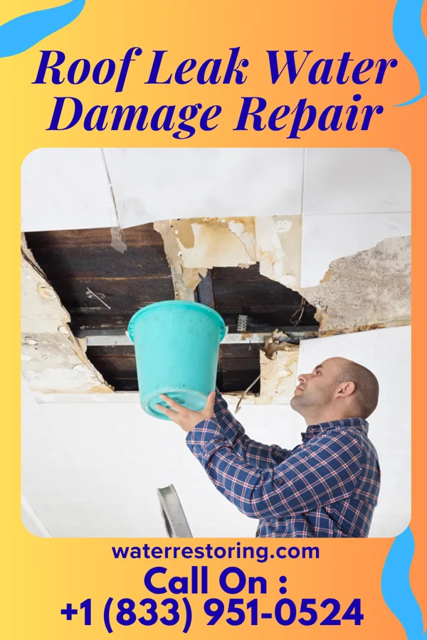 Roof Leak Water Damage Repair in Henriette, MN